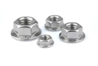 304 stainless steel fasteners, bolts, flange nuts, DIN6923 anti slip nuts
