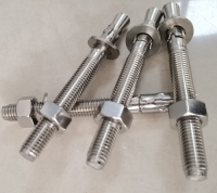 Stainless steel car repair gecko stainless steel mechanical anchor bolt made of 304 material, specifically designed for