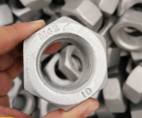 Hexagonal hot-dip galvanized nut for photovoltaic power tower project with 4.8-6.8-8.8 grade outdoor nuts, strong anti-